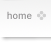 Home Button
